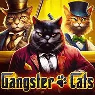 Gangster Cats5men